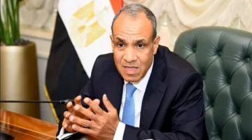 وزير الخارجية يشدد على ضرورة تفعيل دور المصريين المقيمين في الخارج في الانتخابات البرلمانية المقبلة.