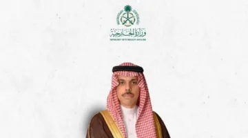 وزير الخارجية يصل تركيا للمشاركة في اجتماع منظمة التعاون الإسلامي