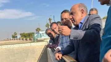 وزير الكهرباء يزور محطة توليد الكهرباء في السد العالي ويتابع بدء التشغيل