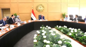 وزير الكهرباء يناقش مع وفد أوروبي تعزيز الشراكة في مجال الطاقة المتجددة