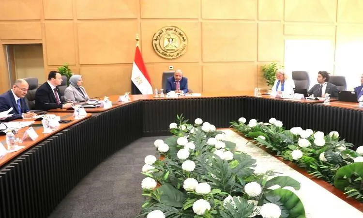 وزير الكهرباء يناقش مع وفد أوروبي تعزيز الشراكة في مجال الطاقة المتجددة