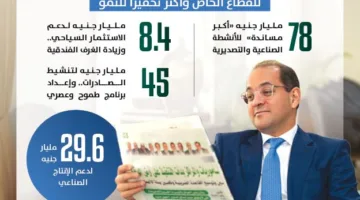 وزير المالية يكشف عن تفاصيل الميزانية الجديدة (إنفوجراف)
