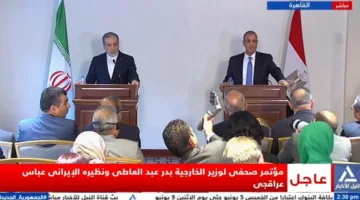 وزيرا خارجية مصر وإيران يؤكدان تأييدهما التام لحقوق الشعب الفلسطيني