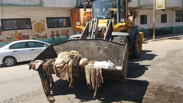 وزيرة البيئة تطالب المواطنين بالذبح في المواقع المخصصة والتخلص السليم من نفايات الأضاحي