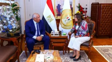 وزيرة التنمية المحلية تستعرض مع محافظ الوادي الجديد آخر مستجدات المشاريع التنموية والخدمية