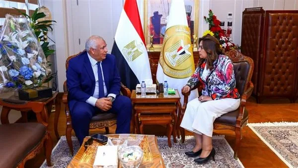 وزيرة التنمية المحلية تستعرض مع محافظ الوادي الجديد آخر مستجدات المشاريع التنموية والخدمية