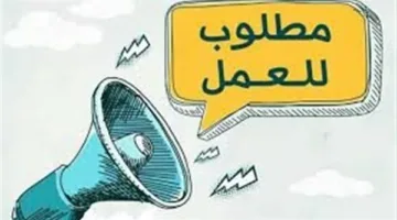 وظائف جديدة في القاهرة برواتب تصل إلى 15 ألف جنيه، كما أعلنت وزارة العمل