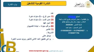 وظائف متاحة في أبرز الأسواق التجارية بالقاهرة: المتطلبات وإجراءات التقديم