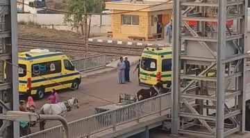 وفاة مسن تحت عجلات قطار في الإسماعيلية