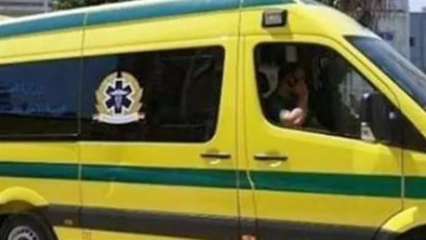 وفاة وإصابة طفلين جراء دهسهما بواسطة سيارة نقل في فرشوط بقنا وفاة وإصابة طفلين جراء دهسهما بواسطة سيارة نقل في فرشوط بقنا
