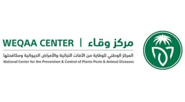 «وقاء»: المملكة ليست تحت خطر الجراد الصحراوي