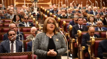وكيل مجلس الشيوخ: كليات التربية في مصر، على الرغم من تاريخها الطويل، تواجه صعوبات كبيرة