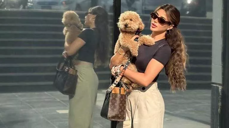 يارا السكري تجذب الأنظار مع كلبها في أحدث إطلالة لها يارا السكري تجذب الأنظار مع كلبها في أحدث إطلالة لها