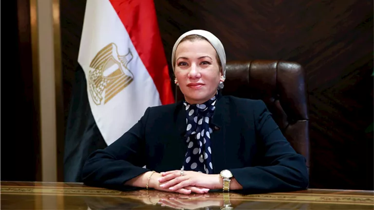 ياسمين فؤاد: قضية البيئة أصبحت جزءًا من الأمن الوطني ياسمين فؤاد: قضية البيئة أصبحت جزءًا من الأمن الوطني