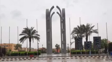 مجلس جامعة حلوان يوصي بتعجيل التحول الرقمي وإقامة وحدات متخصصة في كل كلية