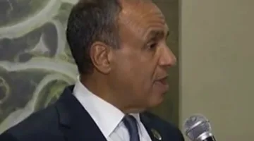 وزير الخارجية يسلط الضوء على أهم محاور كلمة الرئيس السيسي في القمة التنسيقية للاتحاد الإفريقي