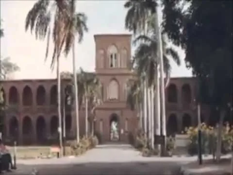 (تضحيات النخبة) .. إضفاء الطابع السياسي على الأكاديميين! (تضحيات النخبة) .. إضفاء الطابع السياسي على الأكاديميين!