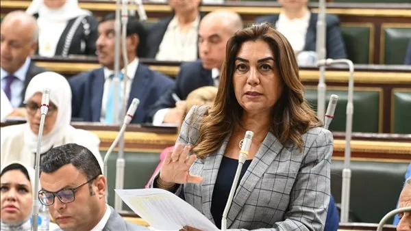 1298 قطعة أرض بمساحة 61 مليون متر مربع مخصصة لإنشاء وحدات سكنية بديلة لمستأجري الإيجار القديم