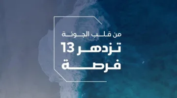 13 فرصة استثمارية في مزاد الجونة بالعاصمة جدة .. 5 أغسطس