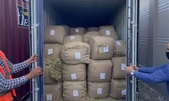 إنجازات أمنية خلال شهر: القبض على 279 متهماً بجرائم تهريب في نقاط الدخول.
