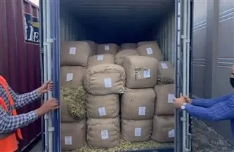 إنجازات أمنية خلال شهر: القبض على 279 متهماً بجرائم تهريب في نقاط الدخول. إنجازات أمنية خلال شهر: القبض على 279 متهماً بجرائم تهريب في نقاط الدخول.