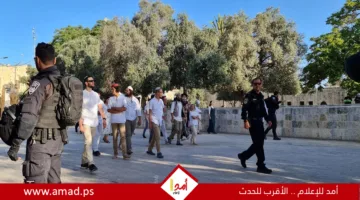 زيادة هجمات المستوطنين تحت حماية قوات الاحتلال: إصابات واعتقالات في الضفة الغربية – التفاصيل