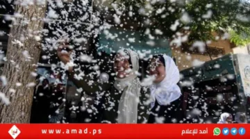 “التربية” تعلن نتائج الثانوية العامة يوم الأحد الساعة التاسعة صباحاً