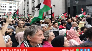 بلجيكا: المحكمة تحظر إرسال معدات عسكرية إلى إسرائيل ووجود نزاع حول الاستئناف