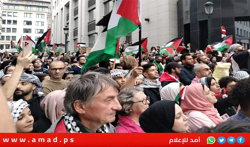 بلجيكا: المحكمة تحظر إرسال معدات عسكرية إلى إسرائيل ووجود نزاع حول الاستئناف بلجيكا: المحكمة تحظر إرسال معدات عسكرية إلى إسرائيل ووجود نزاع حول الاستئناف