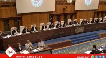 البرازيل تتعاون مع جنوب إفريقيا لمواجهة إسرائيل في المحكمة الدولية للعدل