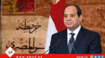 السيسي يبرز أهمية بدء إعادة تأهيل غزة بمجرد انتهاء القتال