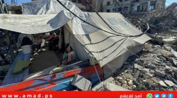 أكسيوس: الموساد يطلب من الولايات المتحدة مساعدته في نقل فلسطينيين من غزة إلى ليبيا وإندونيسيا وإثيوبيا.