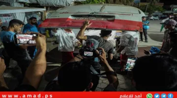 “هند رجب” تنادي بلجيكا بتوقيف مشتبه فيهم بجرائم حرب في غزة