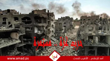 مذابح وتجويع وحصار.. أكثر من 75 شهيداً يوم السبت وإسرائيل ترسل وفداً للتفاوض إلى الدوحة