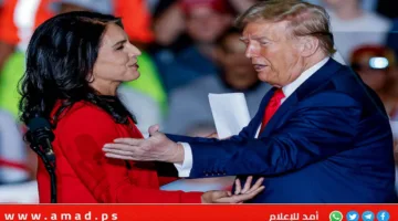 فريق غابارد يسعى لجمع معلومات استخباراتية لتنفيذ استراتيجيات ترامب لمعارضة “تسييس” الأجهزة الأمنية.