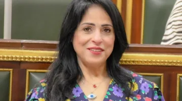 النائبة ميرال الهريدي: دعوات الاحتجاج أمام السفارات المصرية في الخارج تهدف لإثارة أزمات لمصر على المستوى الدولي