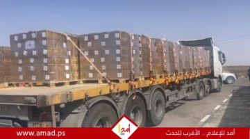 مصر تُعلن عن وصول 166 شاحنة مساعدات إلى غزة