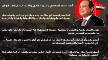 رسائل الرئيس السيسي بمناسبة ذكرى ثورة 30 يونيو