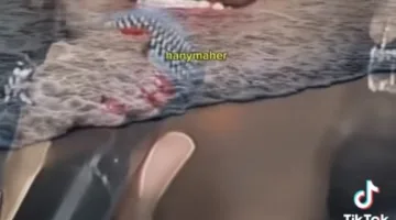 الجميع وراءك.. مها أحمد تؤيد شيرين