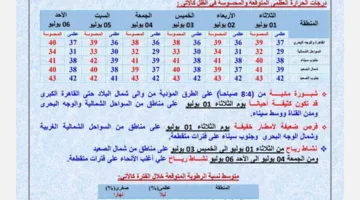 الأرصاد تُعلن تفاصيل حالة الطقس في الأسبوع الأول من يوليو.. ارتفاع في الحرارة والرطوبة.