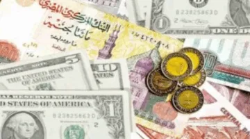 أسعار العملات الأجنبية والعربية مقابل الجنيه المصري بتاريخ الثلاثاء 1 يوليو 2025
