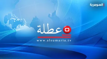 مجلس الوزراء يعلق العمل الرسمي يوم الأحد القادم