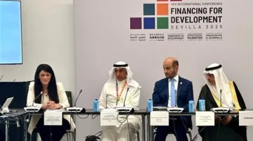 المشاط: 15.6 مليار دولار تمويلات تنموية للقطاع الخاص منذ عام 2020