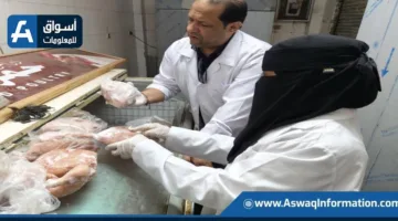 الهيئة البيطرية تضبط 122 طنًا من اللحوم والدواجن والأسماك الفاسدة في يونيو