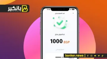 استئناف خدمات تطبيق إنستاباي بعد انقطاع بسبب مشكلة تقنية