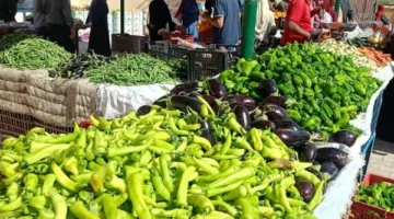 استقرار أسعار الفواكه والخضروات في الوادي الجديد اليوم الثلاثاء