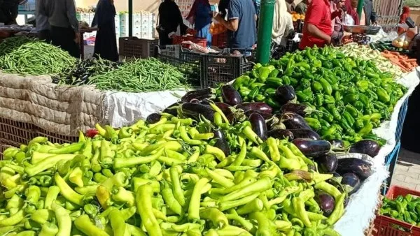 استقرار أسعار الفواكه والخضروات في الوادي الجديد اليوم الثلاثاء