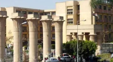 فتاة تstab فرد أمن بجامعة عين شمس.. ما هي التفاصيل؟