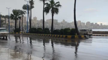على الرغم من ارتفاع درجات الحرارة… هطول مفاجئ للأمطار الغزيرة في مناطق متعددة بالقاهرة
