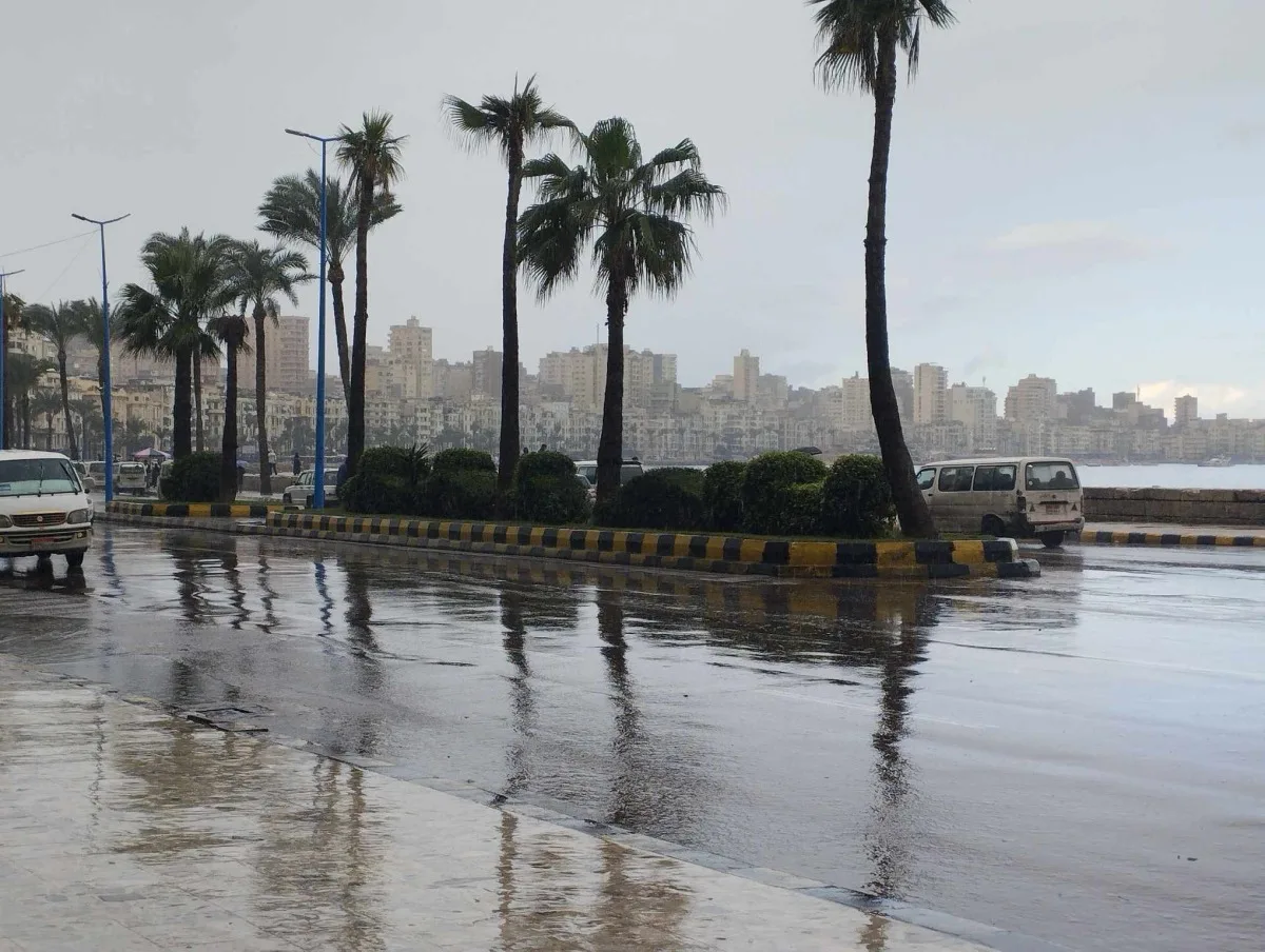 على الرغم من ارتفاع درجات الحرارة… هطول مفاجئ للأمطار الغزيرة في مناطق متعددة بالقاهرة على الرغم من ارتفاع درجات الحرارة… هطول مفاجئ للأمطار الغزيرة في مناطق متعددة بالقاهرة